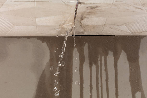Professional Water Damage Repair technician working in Driscoll, TX